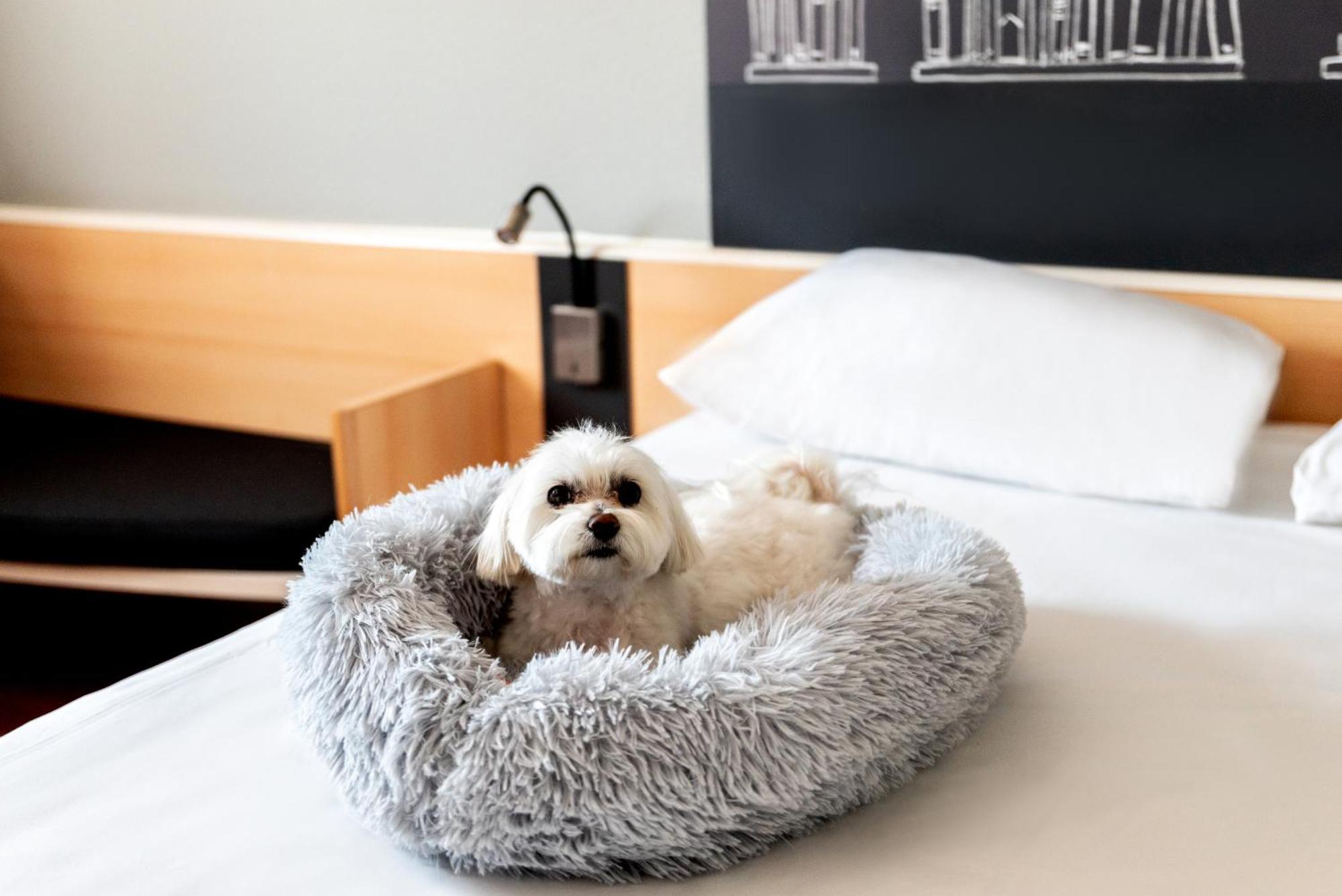 Ibis Poznan Stare Miasto Luaran gambar